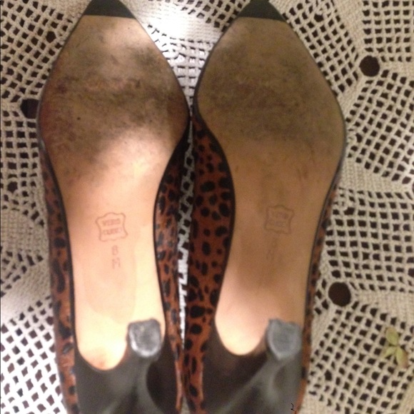 Vaneli pump - Picture 3 of 7